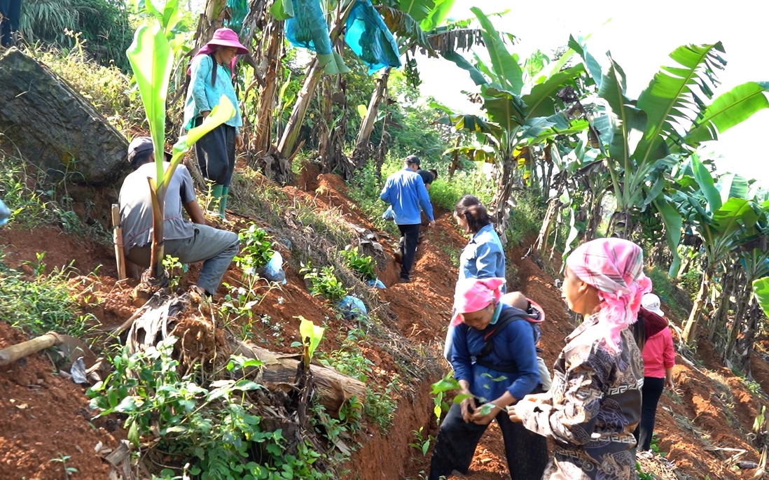 Hộ nghèo và cận nghèo tại 4 huyện của Lào Cai được hỗ trợ xây mới, sửa chữa nhà ở