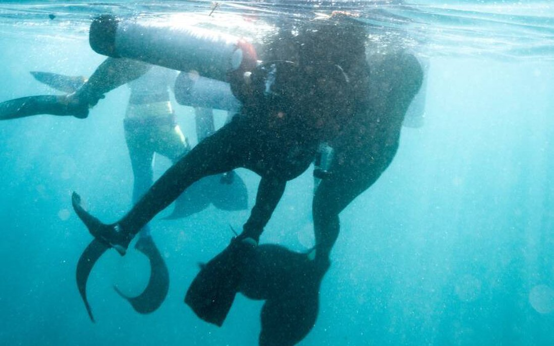 3 "nàng tiên cá" cứu một thợ lặn khỏi chết đuối ở California