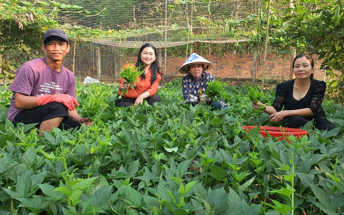 Hội viên, phụ nữ thoát nghèo bền vững nhờ nguồn vốn chính sách