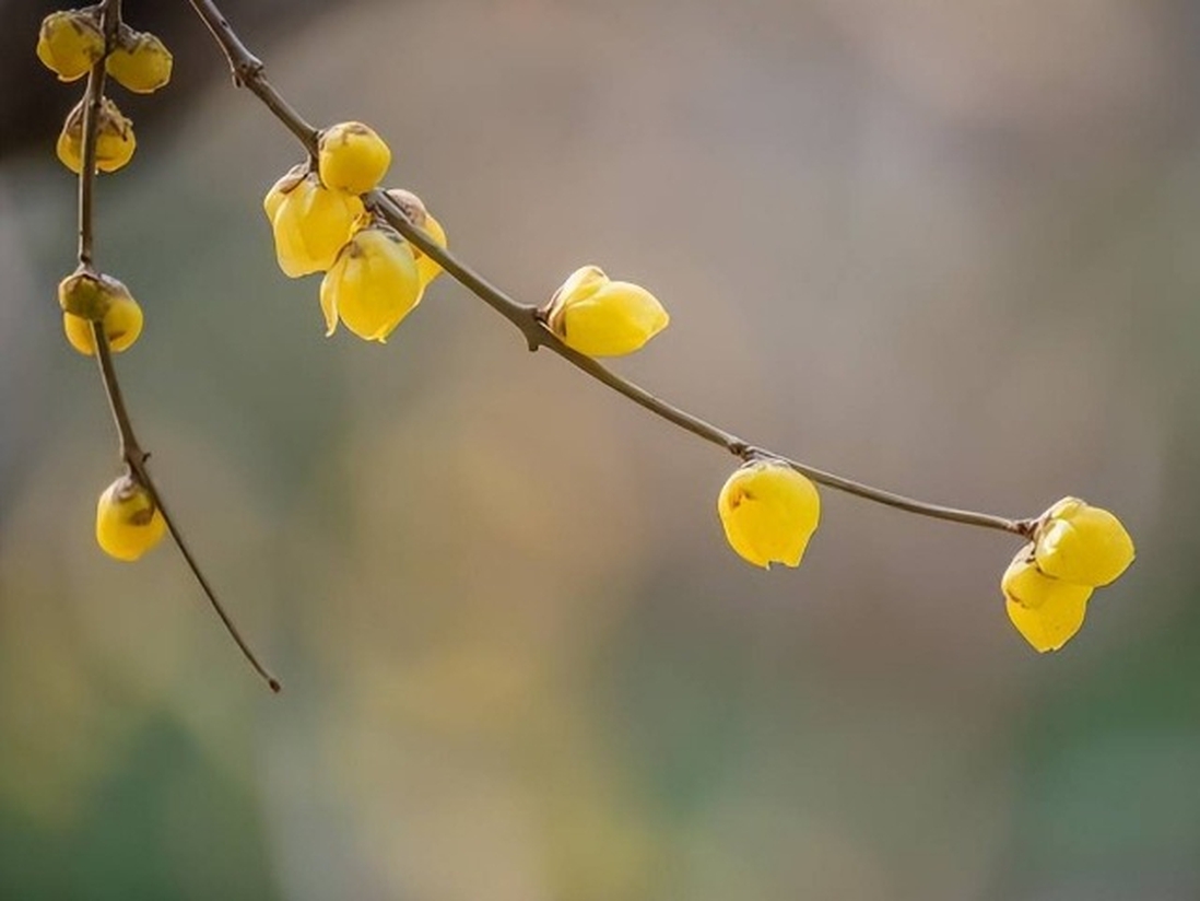 “Sự trả thù” khôn ngoan nhất chính là 2 chữ này