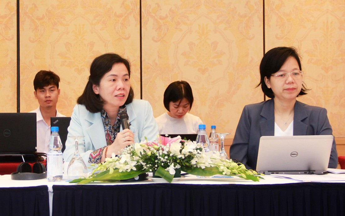TƯ Hội LHPN Việt Nam gặp gỡ chuyên gia quốc tế trao đổi về việc sửa đổi, bổ sung Luật Bình đẳng giới