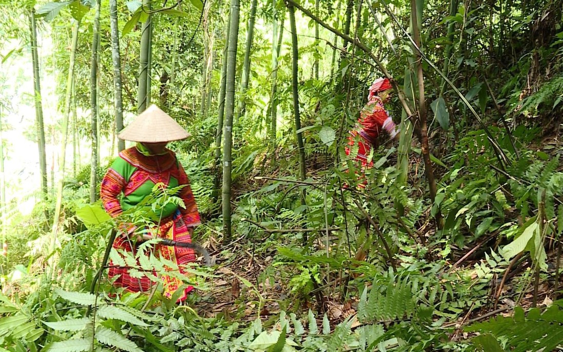 Giảm nghèo ở vùng đặc biệt khó khăn: Cán bộ, công chức đi tiên phong 