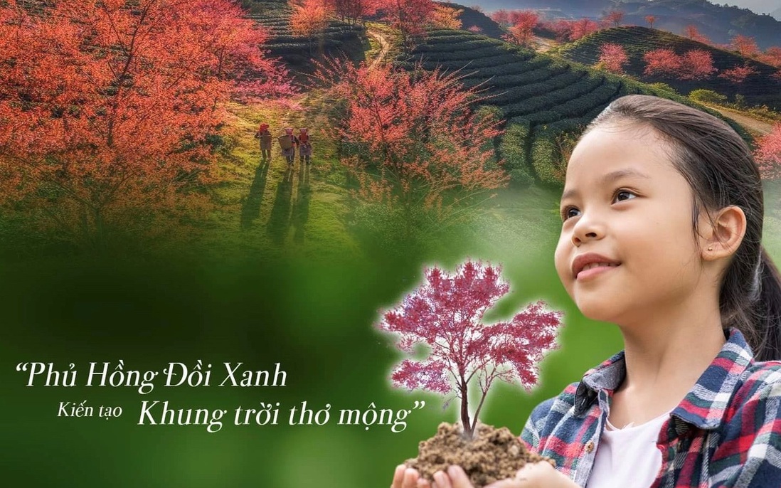 Tặng 2.000 cây "phủ hồng đồi xanh" và hỗ trợ sinh kế cho người dân 