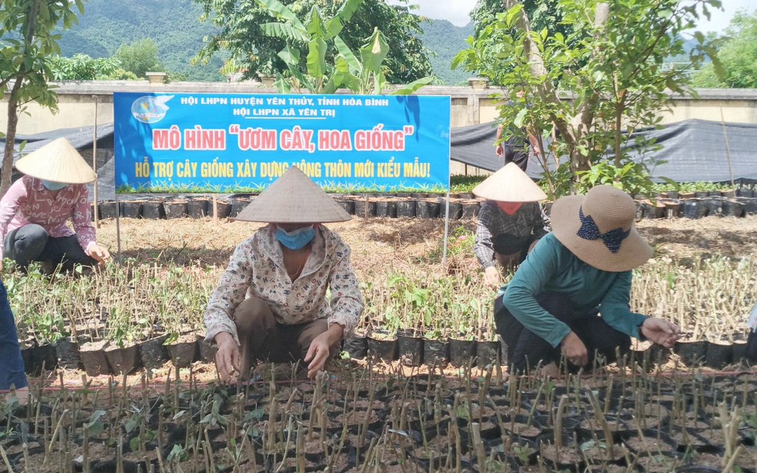 Tiền đề tạo việc làm, tăng thu nhập cho phụ nữ tại địa phương