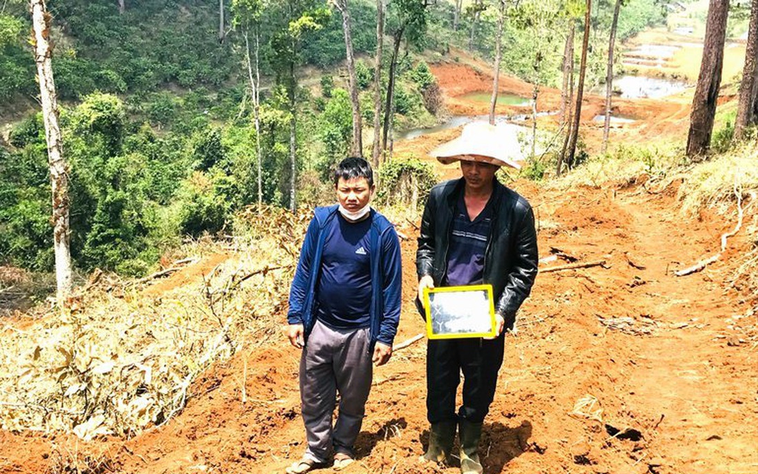 Lâm Đồng:
       Khởi tố, bắt tạm giam kẻ chủ mưu hủy hoại rừng

