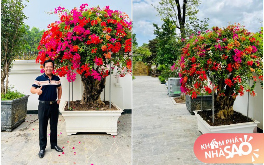 Nghệ sĩ Quang Tèo khoe vườn hoa hoành tráng trong biệt thự mới