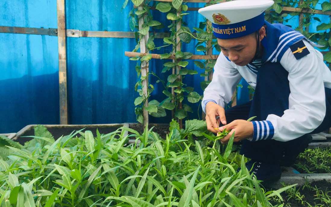 Niềm vui tươi xanh nơi đảo chìm ở Trường Sa