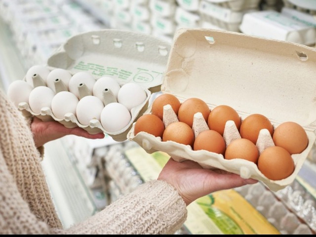 Ăn trứng gà công nghiệp hay trứng gà ta bổ dưỡng hơn? Đáp án khiến nhiều người sửng sốt