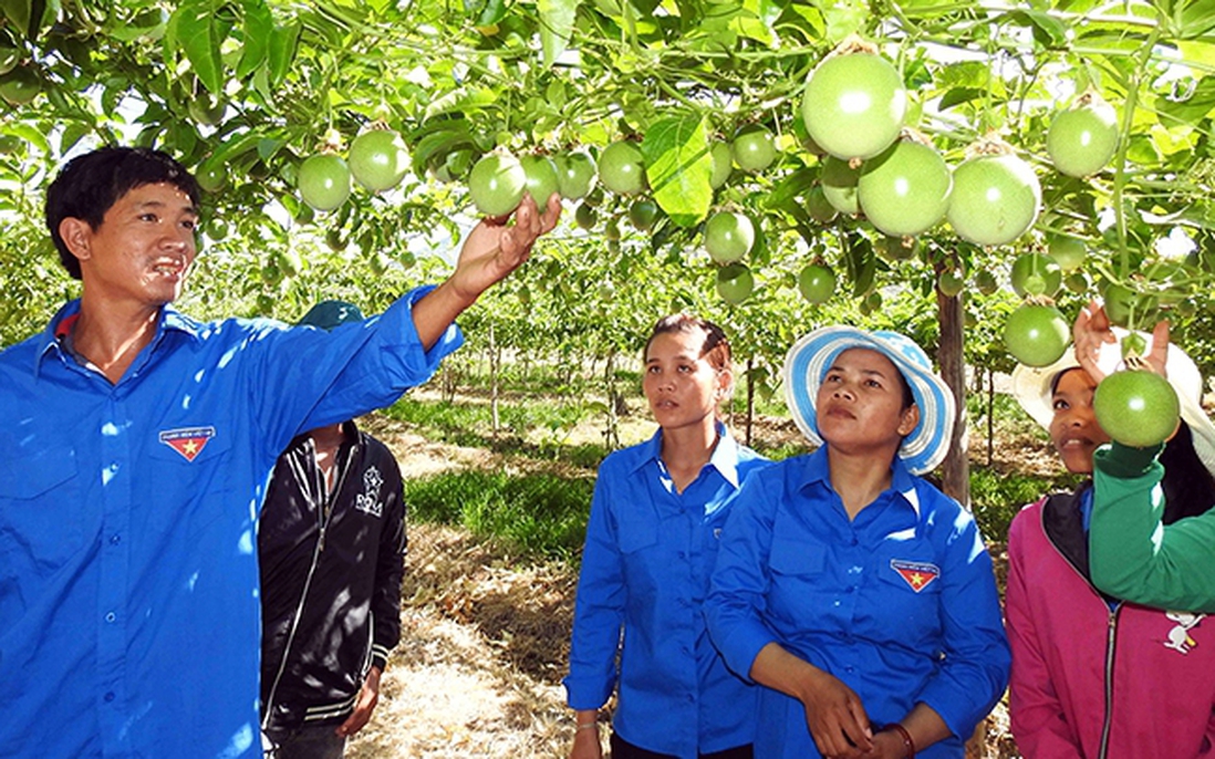 Tạo không gian khởi nghiệp cho lao động trẻ ở nông thôn