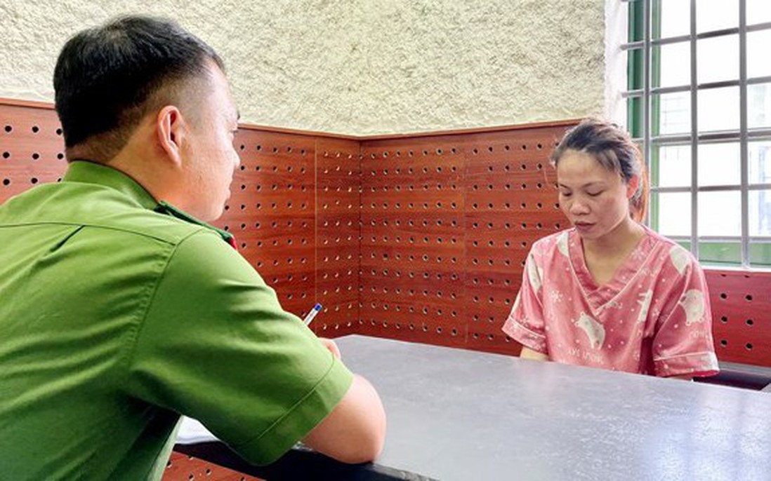 Bắt "nữ quái" làm giấy tờ giả, bán đất "ma" cho nhiều người dân ở Hà Tĩnh