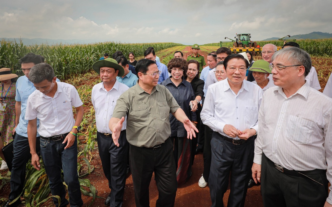 "Trái ngọt" từ mô hình kinh tế tuần hoàn và phát triển bền vững của Tập đoàn TH