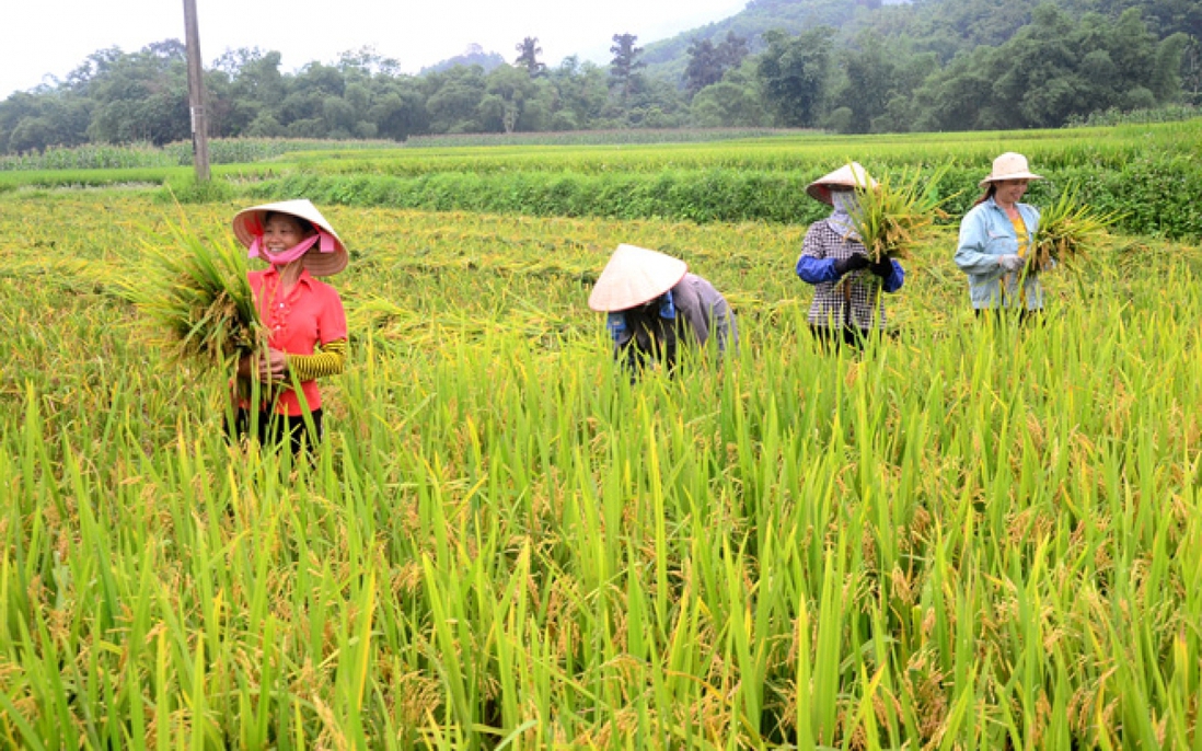 Nhẫn nại hy sinh, suốt đời thầm lặng