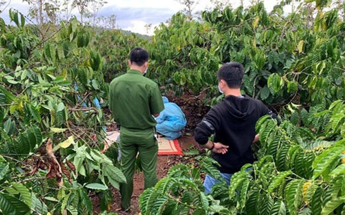 Một phụ nữ đang làm vườn bị "đạn lạc" găm trúng gáy tử vong