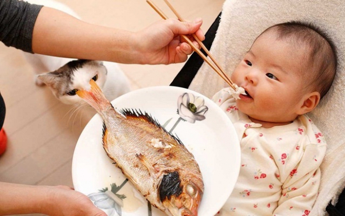 Những lưu ý quan trọng không phải cha mẹ nào cũng biết khi cho con ăn hải sản