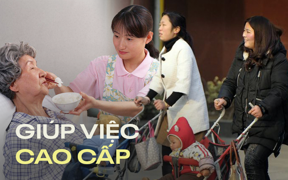 Nghề giúp việc cao cấp ở Trung Quốc: Lương "khủng", yêu cầu bằng cấp "như trên trời"