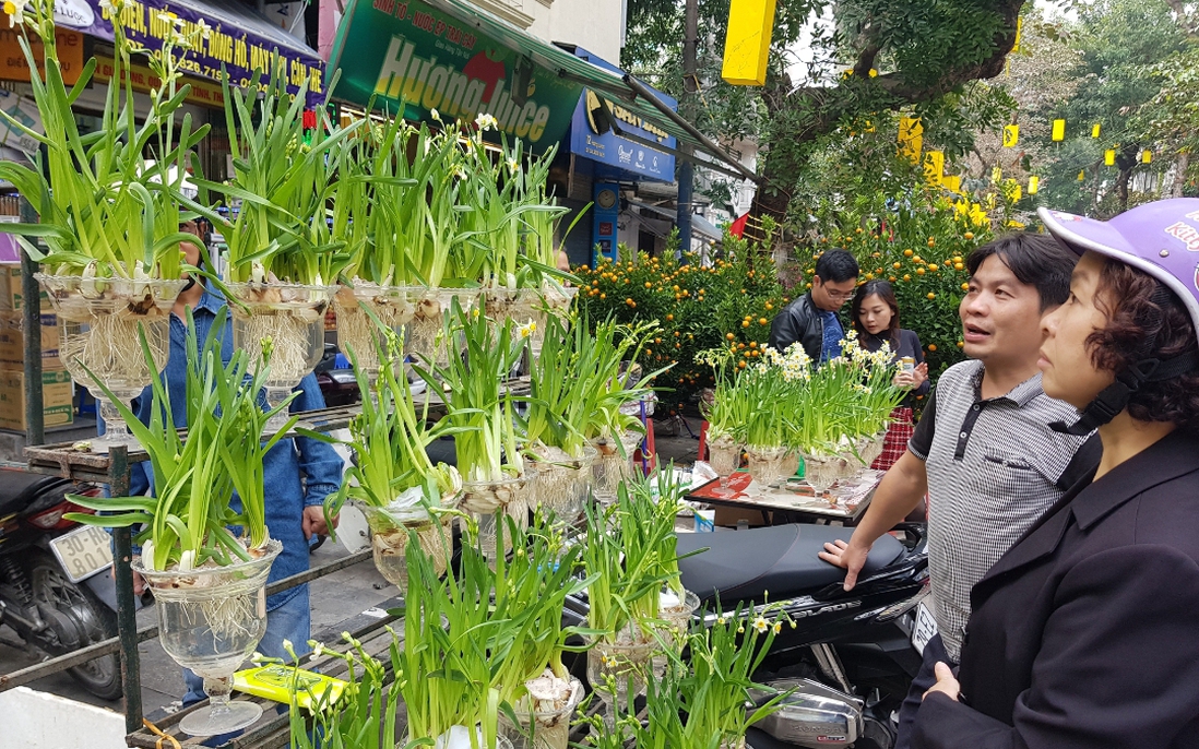 Tiểu thương háo hức mở hàng tại Chợ hoa Tết truyền thống Hà Nội