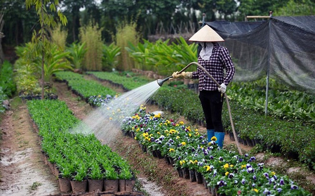 Duy trì tài chính bền vững trong sản xuất nông nghiệp