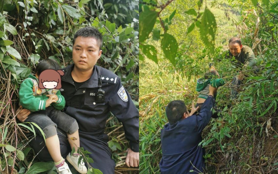 Giải cứu bé gái 3 tuổi bị khỉ bắt cóc: Cảnh sát tìm thấy đứa trẻ nhờ tiếng gọi của người mẹ