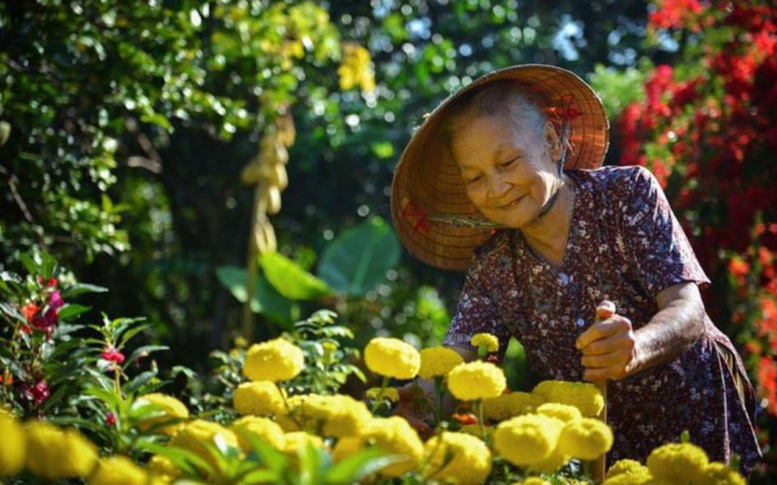 Người cao tuổi đóng góp hơn 30 nghìn tỷ đồng và hàng triệu ngày công xây dựng nông thôn mới