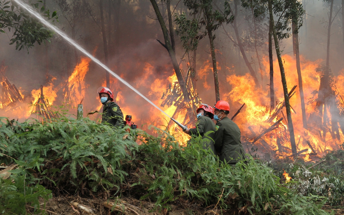 Hơn 800 người tham gia huấn luyện, luyện tập và diễn tập chữa cháy rừng