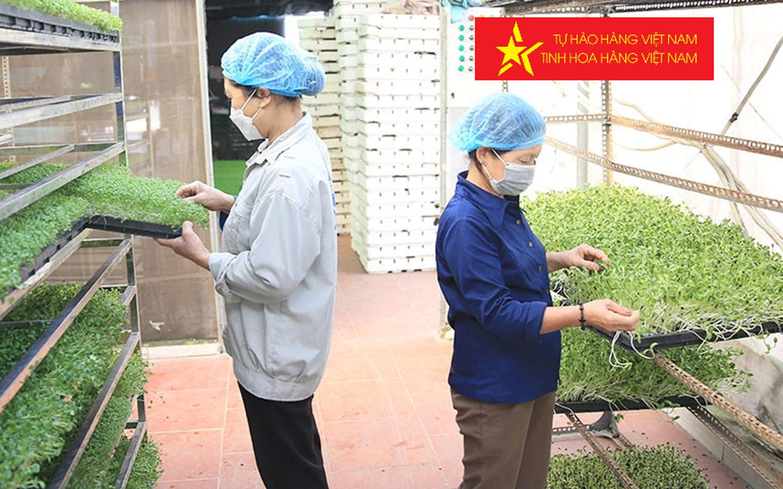 Lợi ích kép sản xuất hàng hóa, nông sản Việt Nam theo chuỗi giá trị