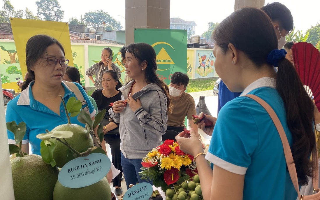 Tây Ninh: Đồng hành hỗ trợ phụ nữ, thanh niên khởi nghiệp