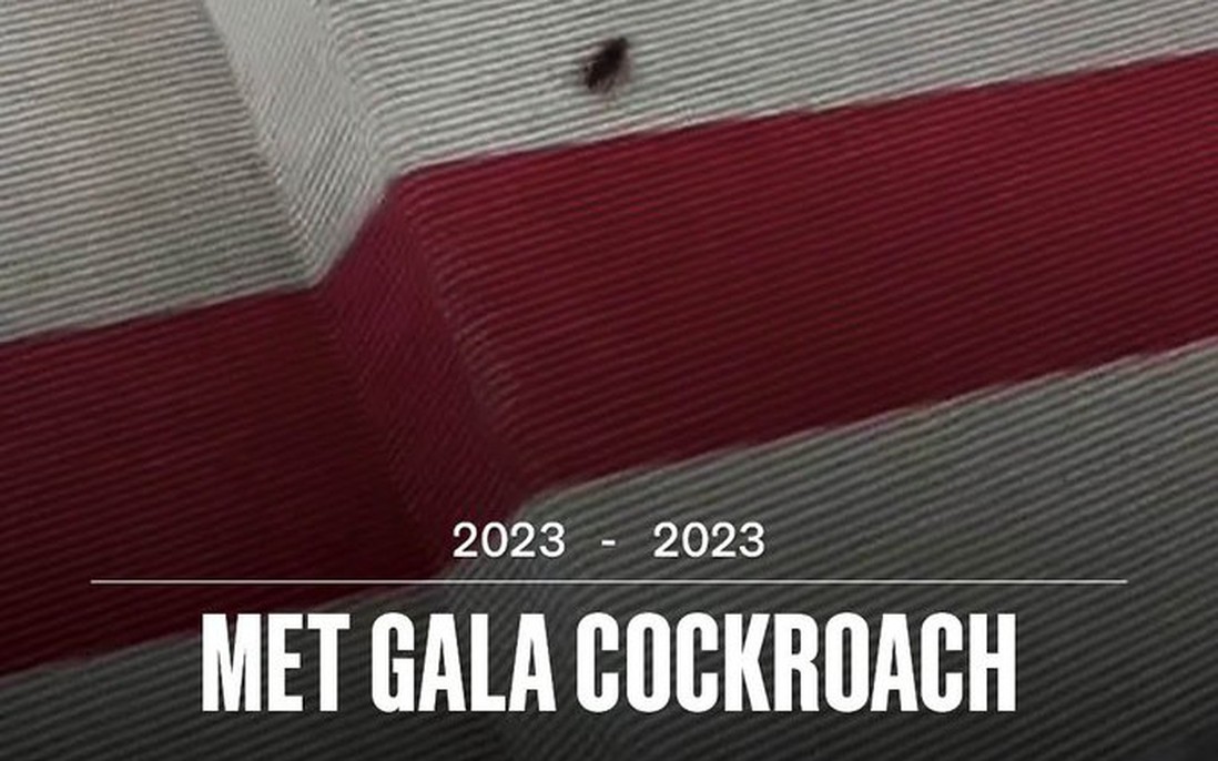 Thảm đỏ danh giá Met Gala náo loạn vì gián