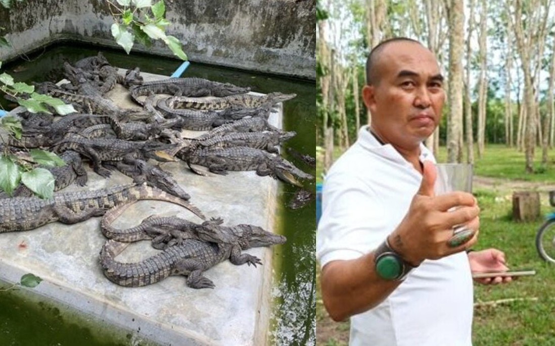 Doanh nhân Thái Lan gây tranh cãi vì uống tiết cá sấu để khỏe hơn mỗi ngày