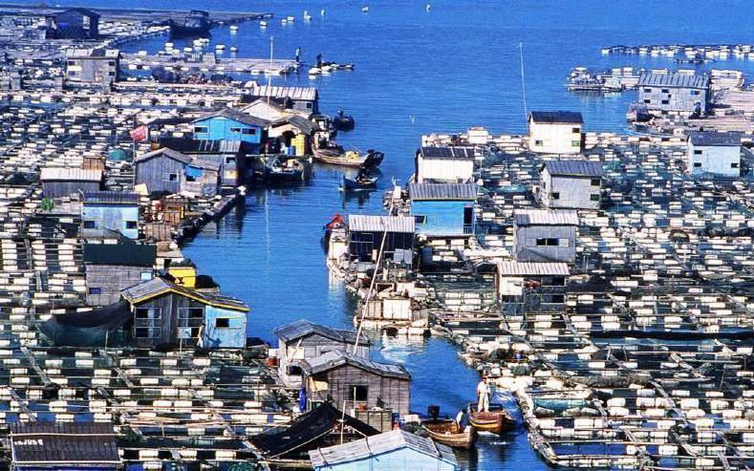 "Ngôi làng trên biển" ở Trung Quốc: Nhà cửa nổi lênh đênh, cuộc sống tiện nghi không thua trên đất liền