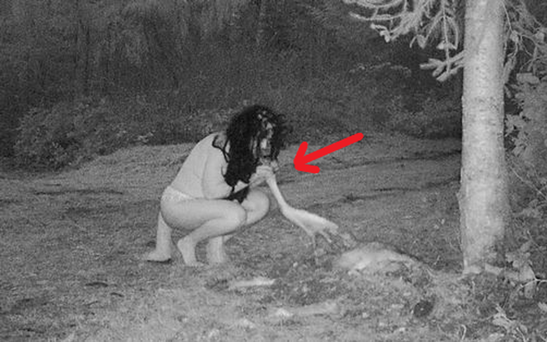 Thấy xác hươu ở trong vườn, người phụ nữ đặt camera và chứng kiến cảnh tượng đáng sợ