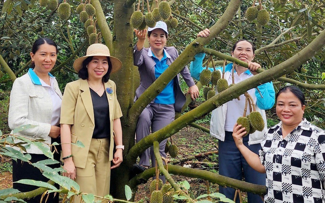 Kon Tum: Ra mắt Tổ hợp tác phụ nữ trồng cây ăn quả xã Ngọc Wang, huyện Đăk Hà