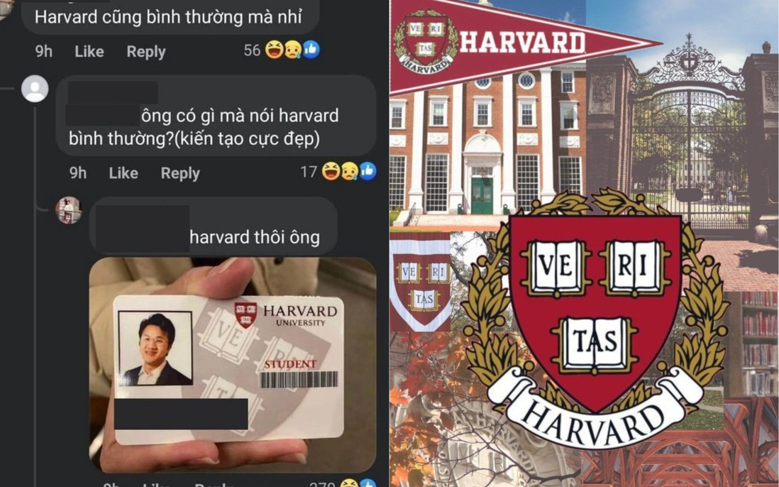 Hội con nhà người ta flex "Harvard cũng bình thường mà nhỉ", sự thật thế nào?