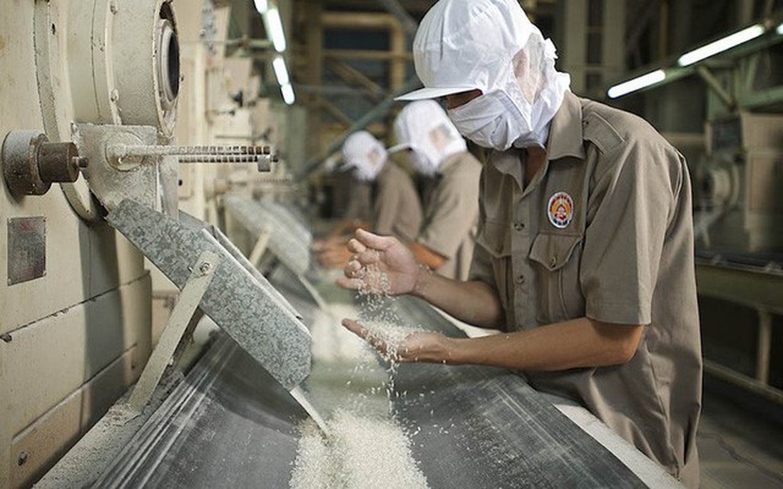 Ấn Độ cấm xuất khẩu gạo, cổ phiếu gạo Việt Nam “bứt phá”