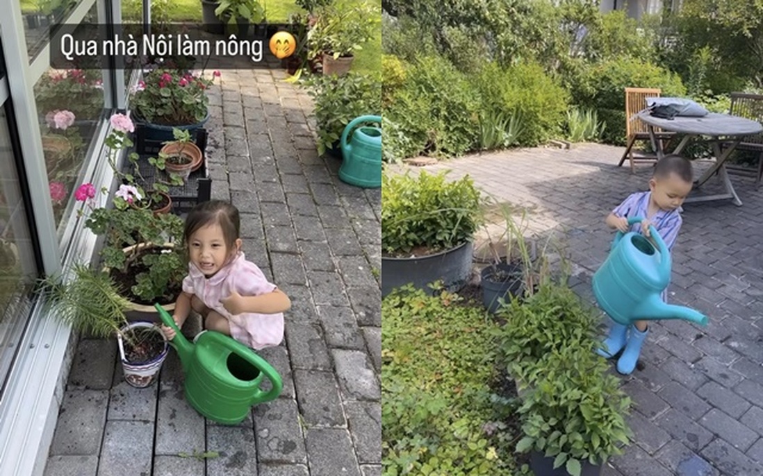 Cặp sinh đôi nhà Hà Hồ tập làm nông ở Thụy Điển