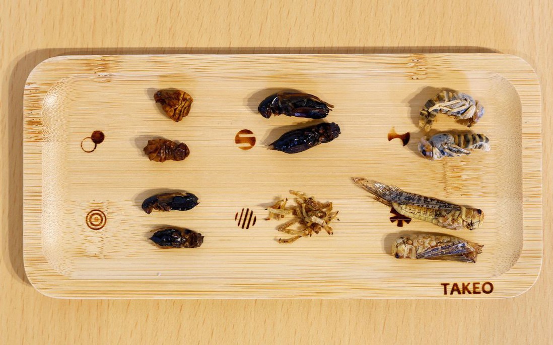 Người Nhật rộ lên sở thích ăn côn trùng: Trào lưu nhất thời hay xu hướng của tương lai?