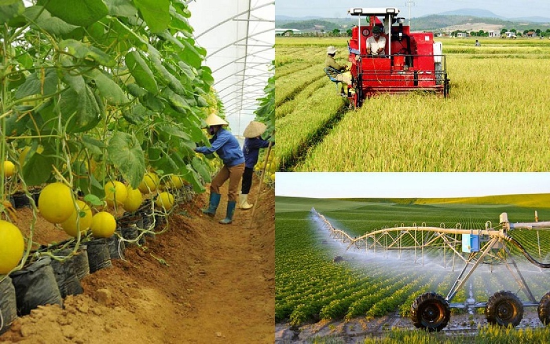Thực hiện các giải pháp hỗ trợ nông dân, phát triển nông nghiệp, kinh tế nông thôn bền vững 