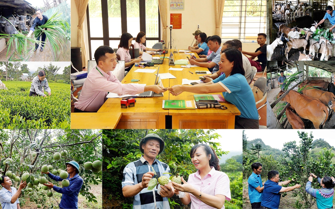 Nâng cao hiệu quả của tín dụng chính sách xã hội trong giai đoạn mới (bài 2): Chỉ thị của Ban Bí thư Trung ương Đảng 