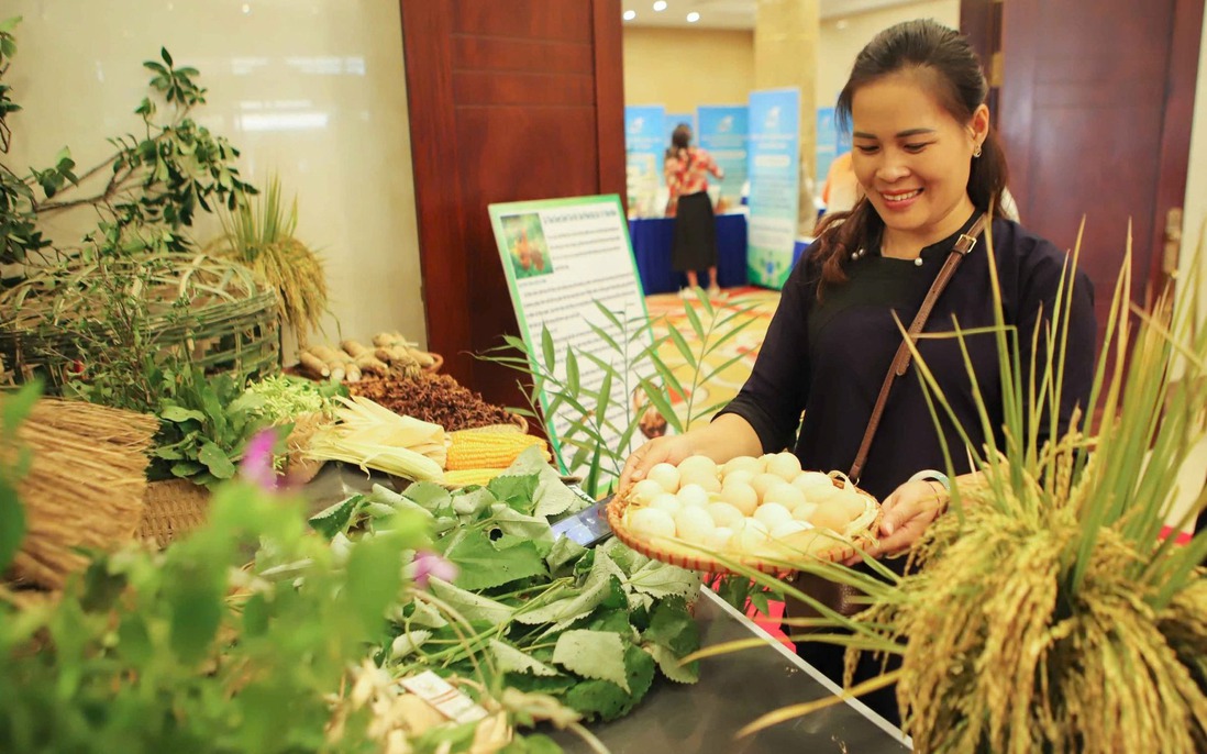 Lạng Sơn: Cùng phụ nữ miền núi phát triển thị trường, tìm đầu ra cho sản phẩm 