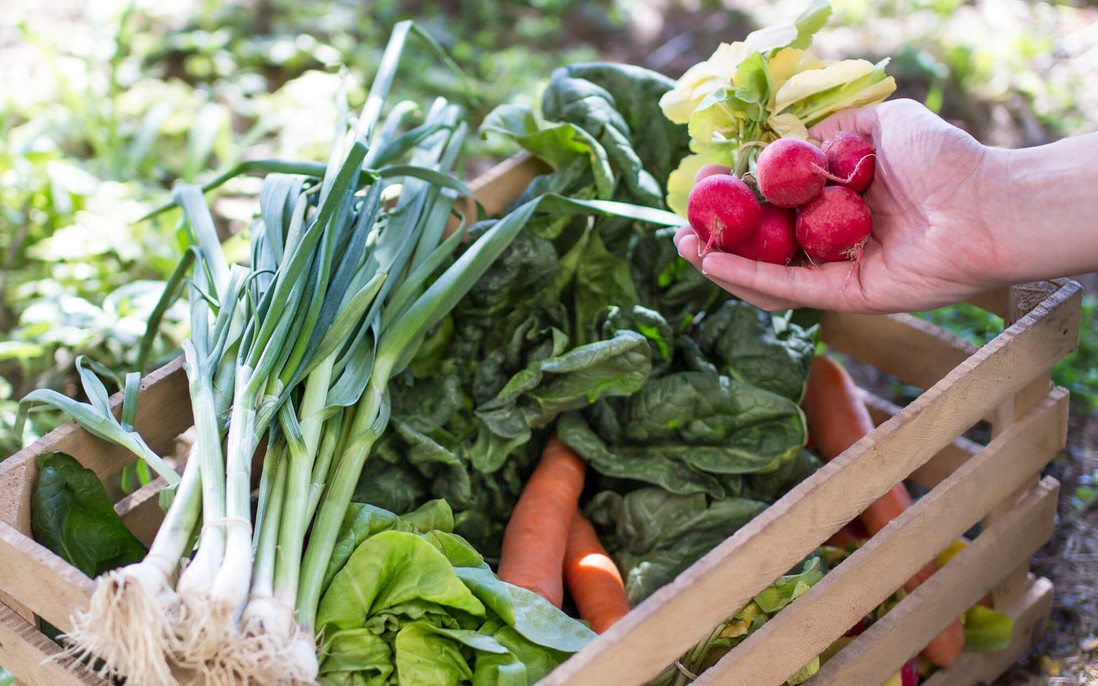 4 loại rau được ví như "nhà vô địch dinh dưỡng", mùa lạnh ăn càng nhiều càng tốt 