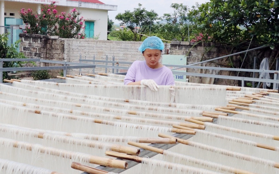 Thái Nguyên: Phát huy vai trò của phụ nữ trong phát triển kinh tế gia đình và cộng đồng