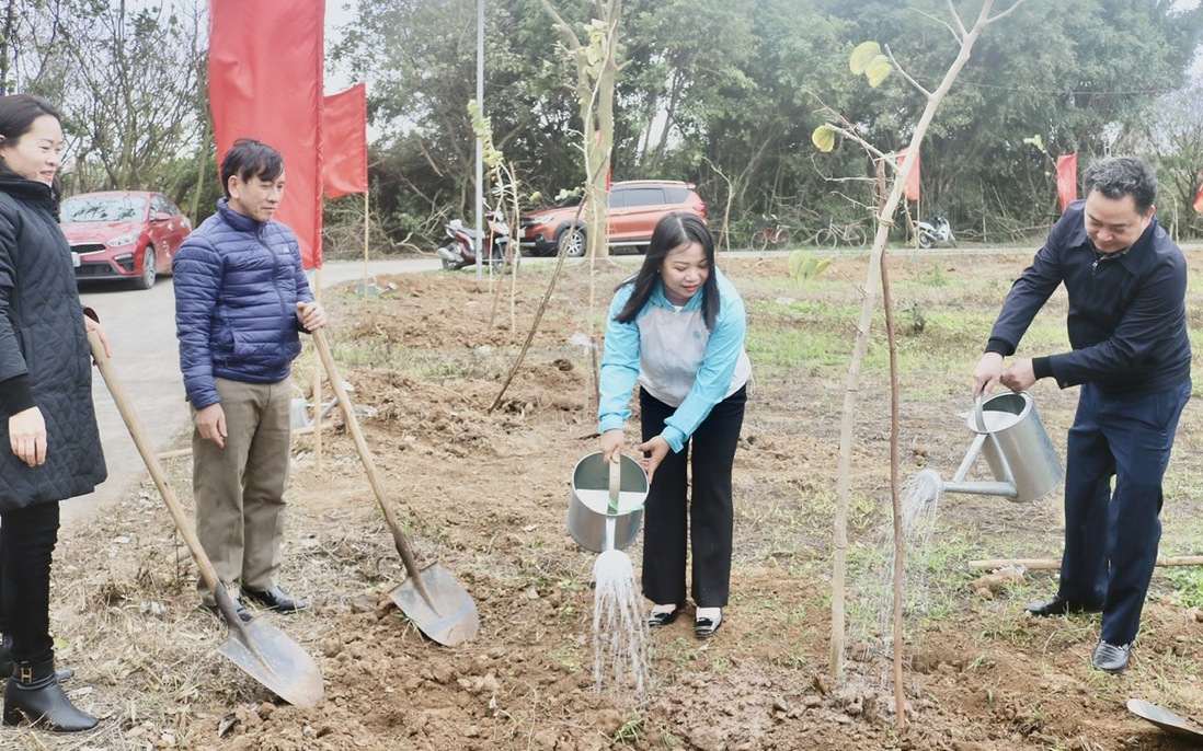 Bắc Giang: Trồng mới 7.020 cây xanh dịp Tết trồng cây năm 2024