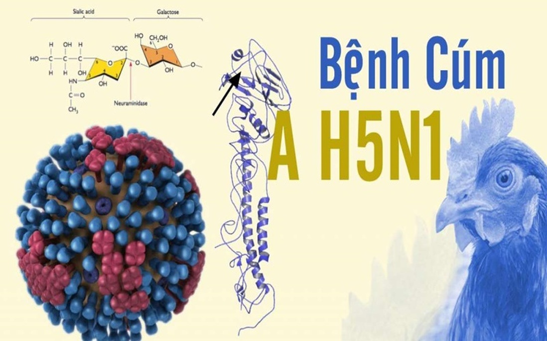 Ca nhiễm cúm A/H5N1 đầu tiên trong năm tử vong sau 12 ngày phát bệnh 