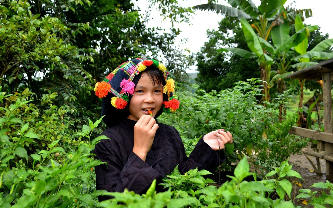Trẻ em người Kháng ở Lai Châu đối diện nguy cơ mất ngôn ngữ gốc
