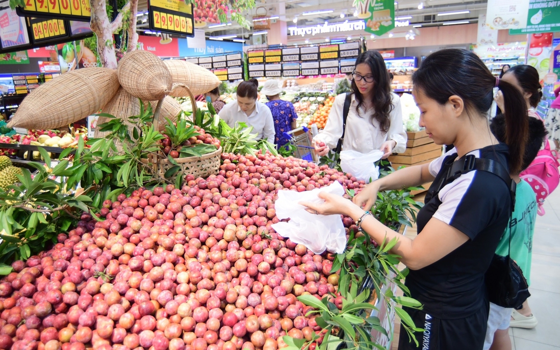 Mận hậu Sơn La "hút khách" Sài Gòn