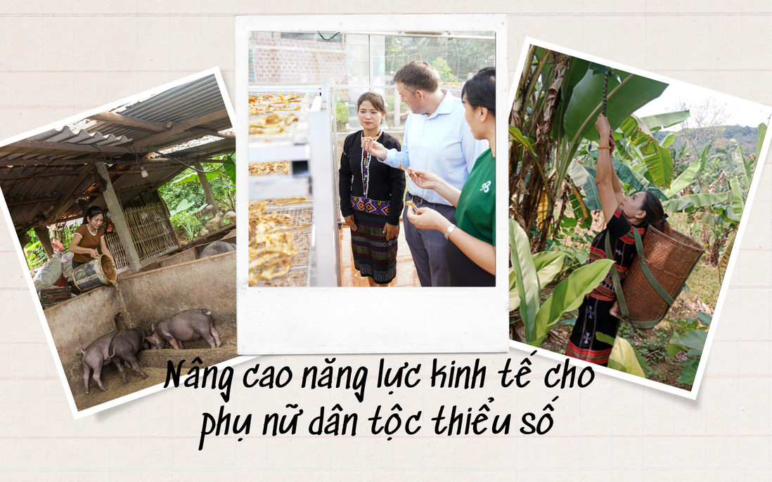 Chương trình "Tiến về phía trước" hỗ trợ phụ nữ thiểu số 3 tỉnh Quảng Trị, Hòa Bình, Hà Giang phát triển kinh tế