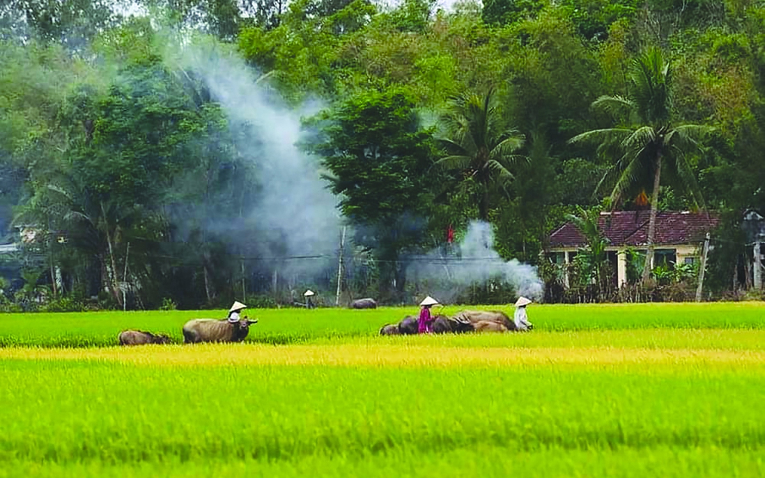 Bâng khuâng khói bếp chiều quê