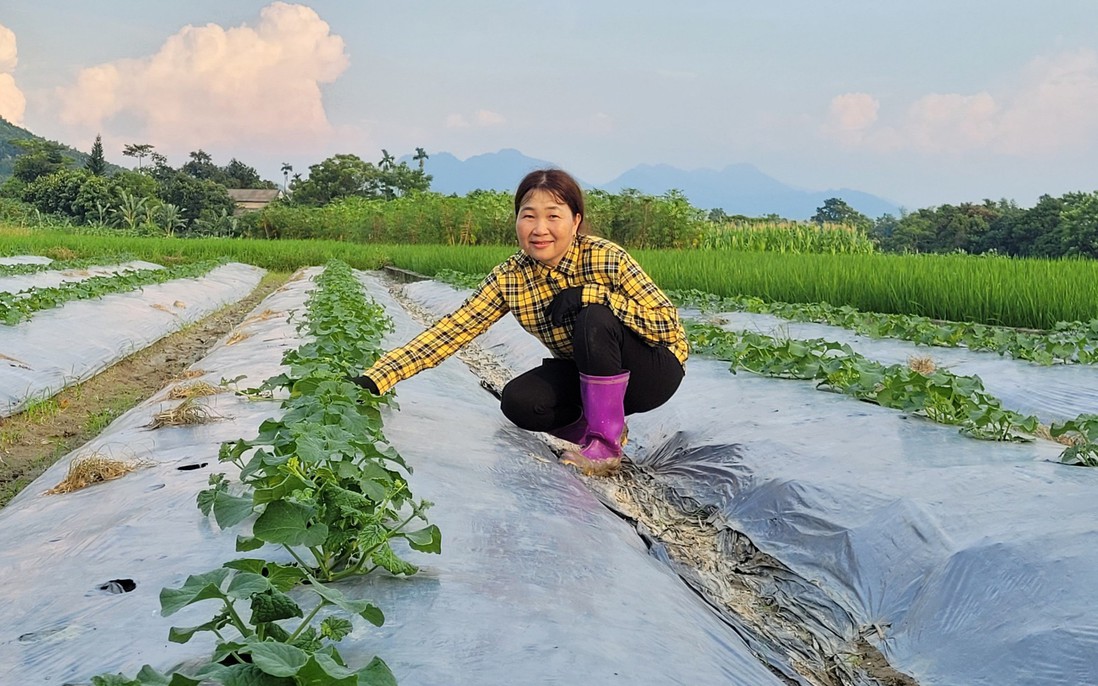 Thoát nghèo nhờ mô hình tổ hợp tác rau an toàn