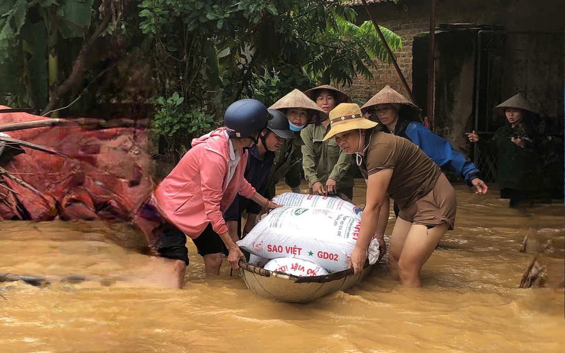 Phụ nữ Vĩnh Phúc gặt lúa, hỗ trợ các hộ dân ngoài đê di chuyển vào nơi an toàn