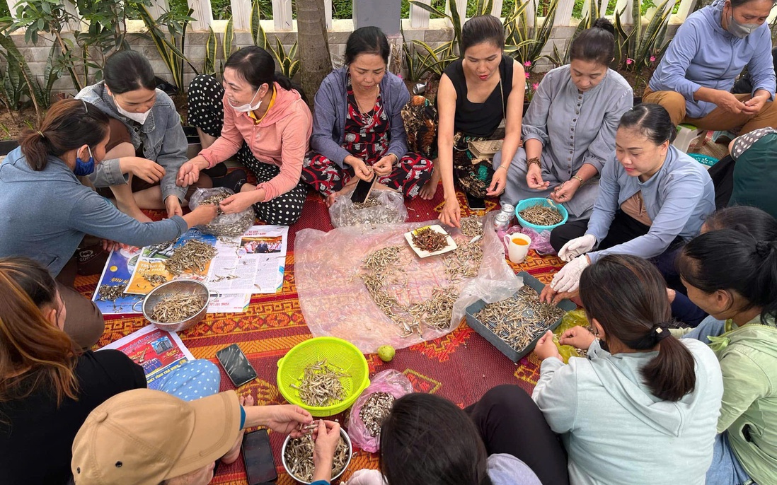 Phụ nữ Quảng Bình: Hàng ngàn hộp cá khô rim lạc, ruốc, mắm tép gửi các tỉnh bị bão lũ