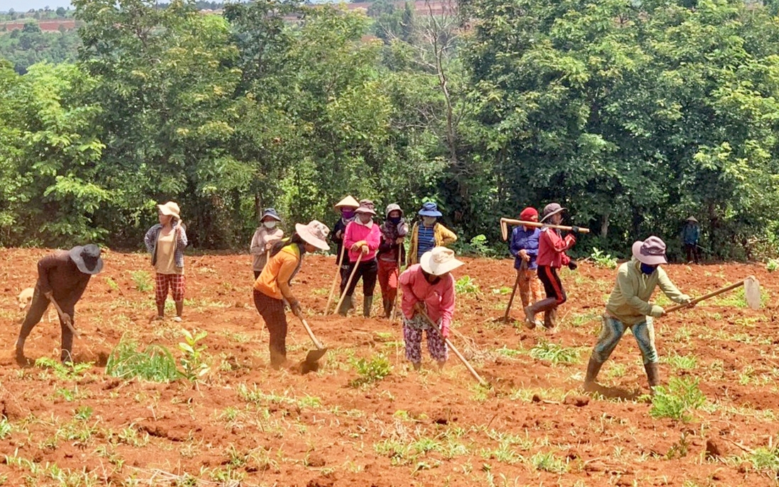 Mang đến sức sống mới cho phụ nữ dân tộc thiểu số ở Mang Yang